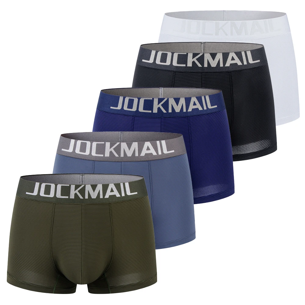 5PCS Men Striped Mesh Boxer U Convex Pouch Breathable Quick Dry Sports Underwear Elastic Waistband Male Underpants 5 Colors