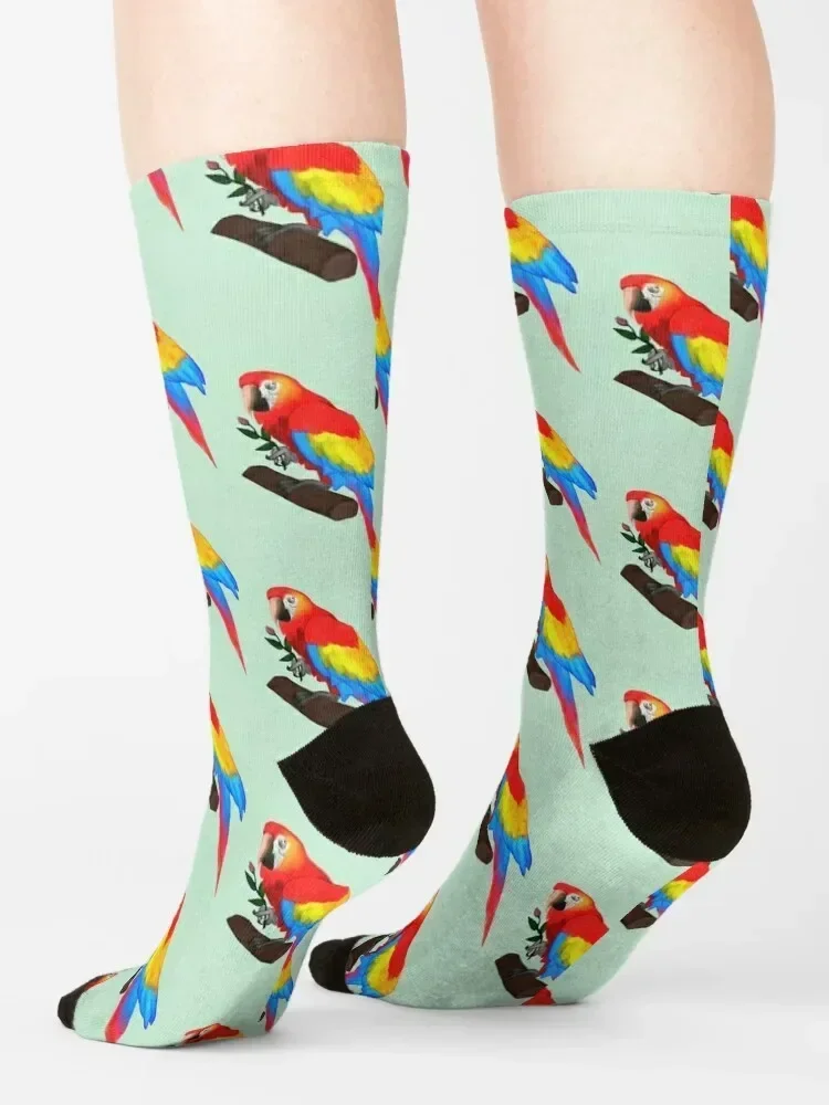 جوارب Scarlet Macaw Socks لكرة القدم الرائعة للرجال والنساء