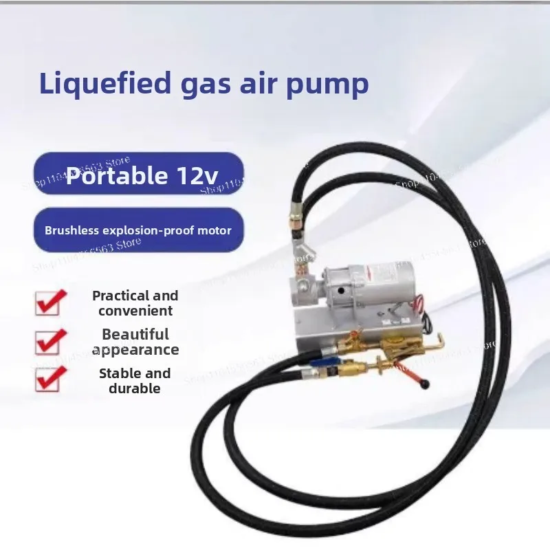 Portable 12V Propane Liquefied Gas Pump - Small Vehicle-Mounted Air Infusion Pump