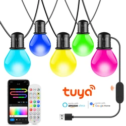 インテリジェントなWIFI LED電球,妖精,rgb,15m, 25電球,屋外,庭,新年,装飾,花輪,クリスマス,5v