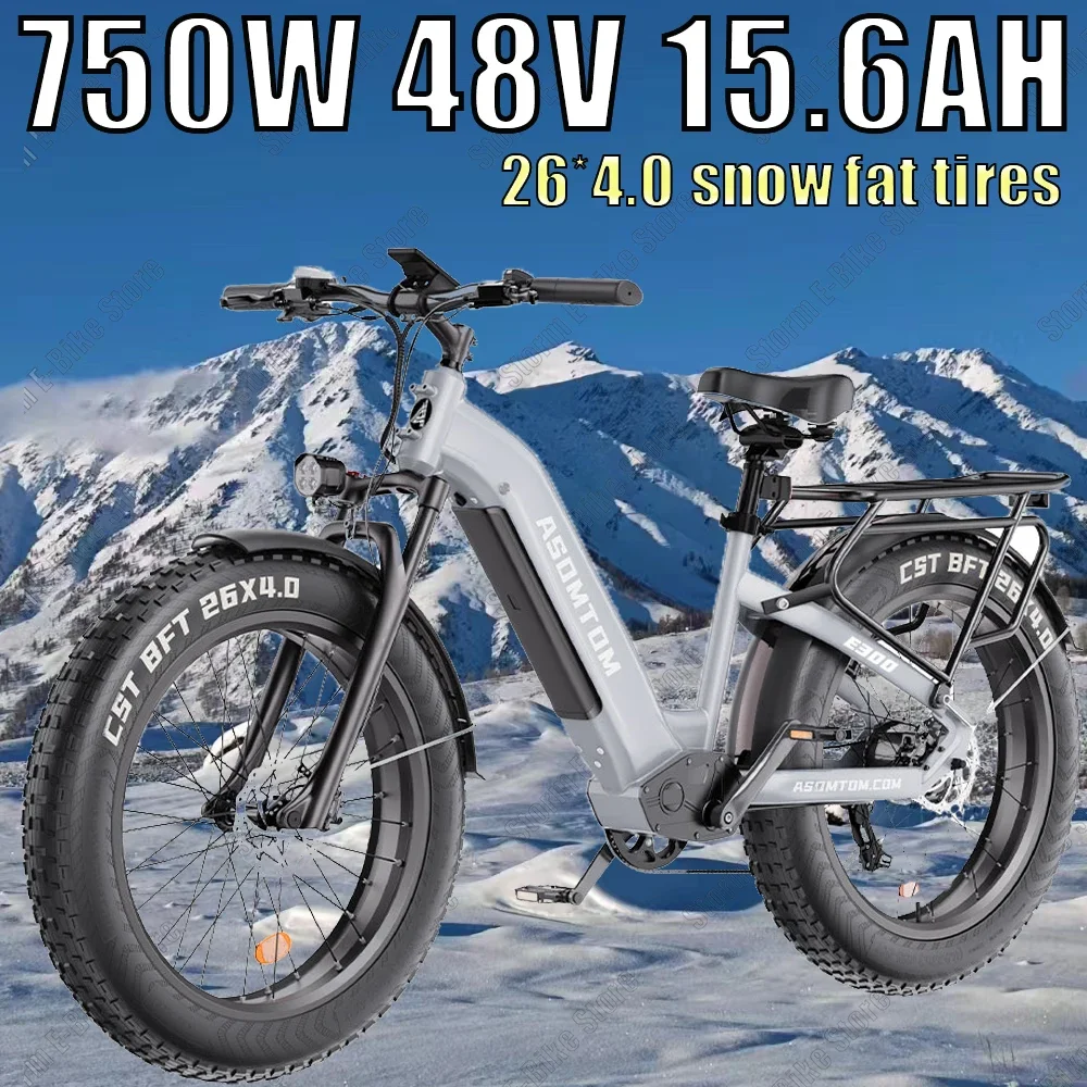 All-Terrain Electric Bicycle 750W motor 48V15AH Battery 26*4.0Tires Adult snow Electric Bicycle 45KM/H Urban Mountain E- bicycle