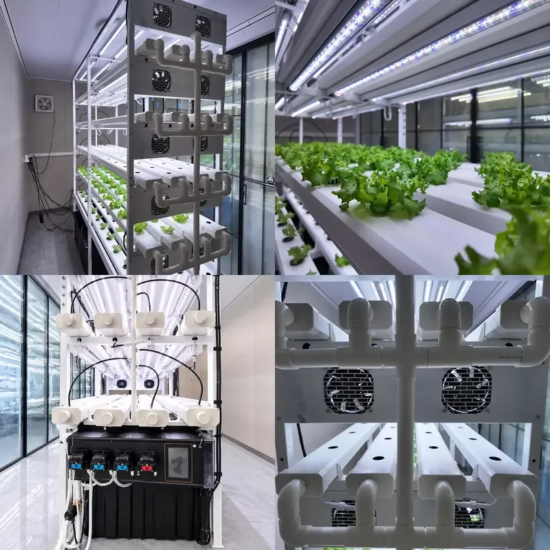 Indoor Smart Garden Hydroponics System with Motor Pump Water Tank and LED Grow Lights for Growing Vegetables Fruits and