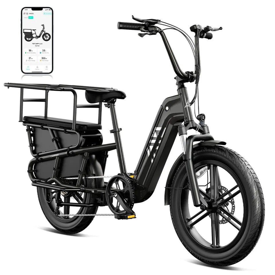 20" Cargo Electric Bike 1500W Peak 28MPH 48V 15AH E bike with Child seat kit