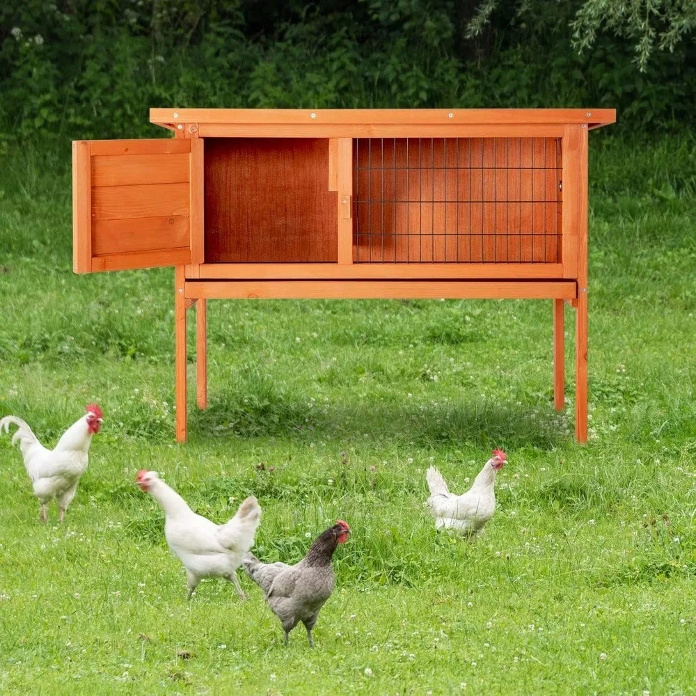 Rabbit Hutch, 36