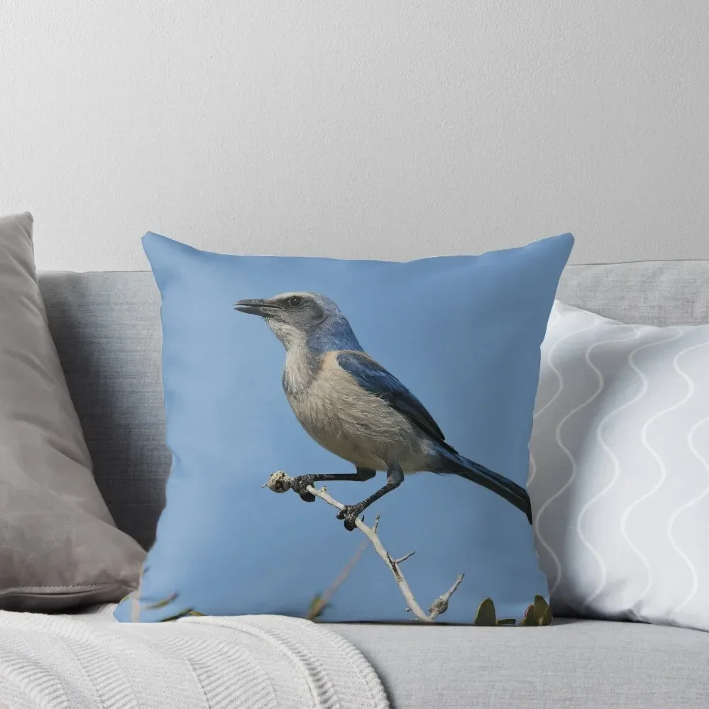 Just Looking Around- Florida Scrub-jay Throw Pillow Bed pillowcases christmas cushions covers Cushion Cover Plaid Sofa pillow