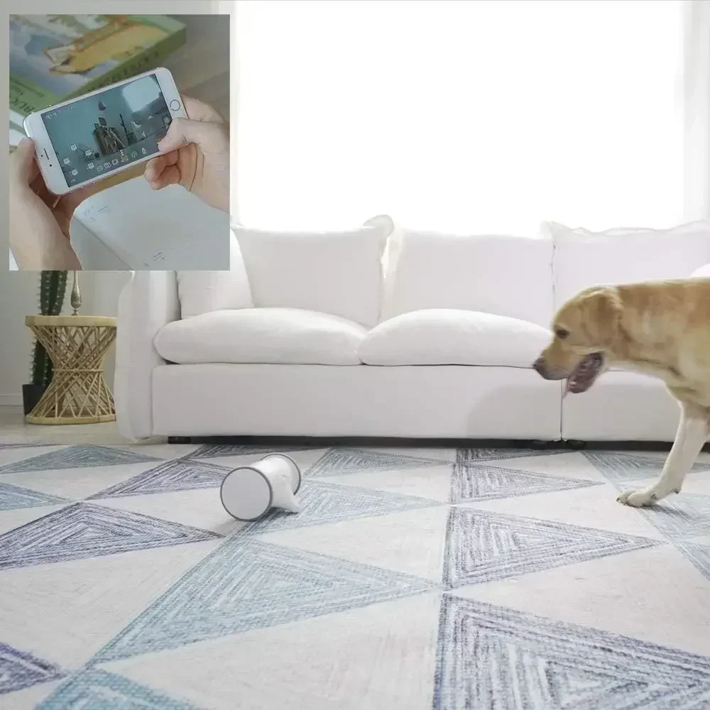 Dood Pet Feeder With Camera Wansview Shutter Petultra Stainless Steel For Dogs Smart Automatic Creative Interestin