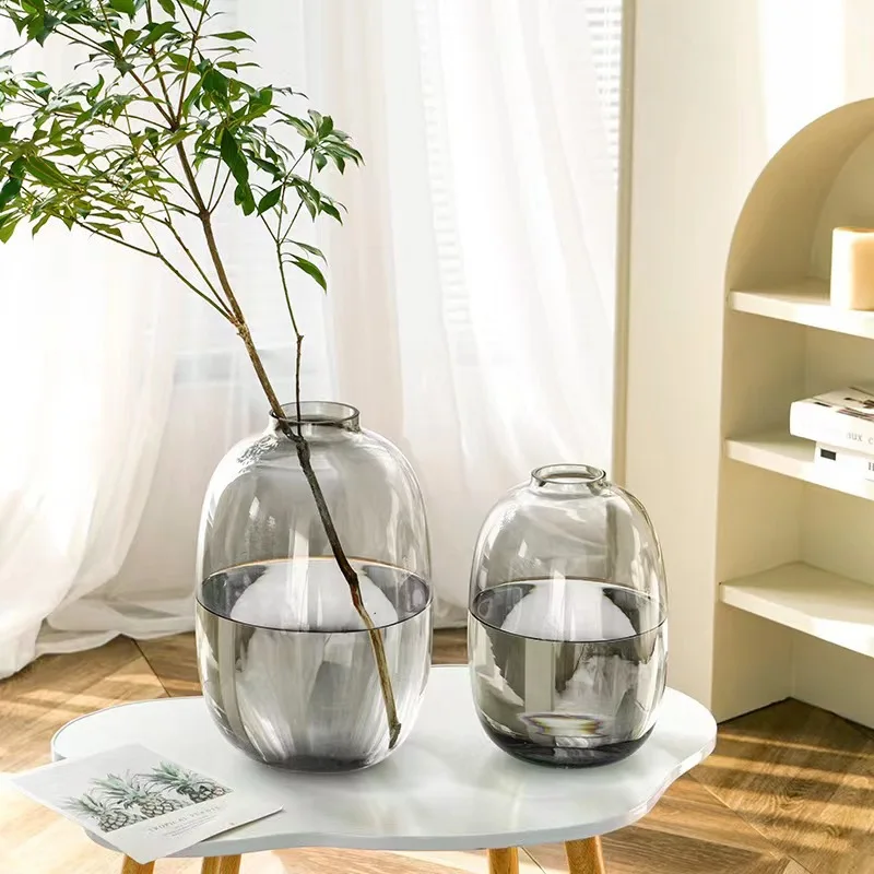 Japanese Nordic Light Luxury Simple Big Belly Glass Vase High Sense Living Room Horse Drunk Wood Hydroponic Decorative Ornament