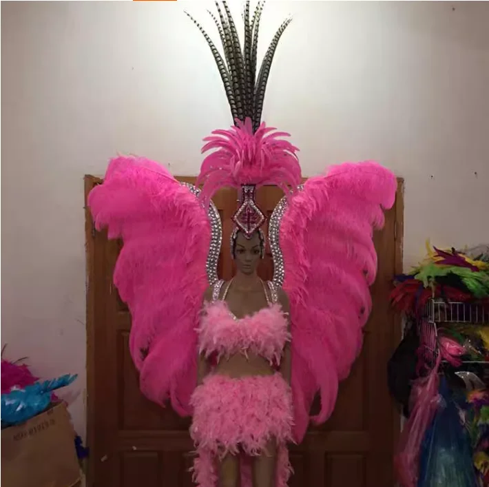 Nightclub Singers, Stage Costumes, Feather Show Dancers, Samba Dancers, Women's Carnival Halloween