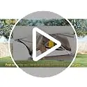 13x13 Pop Up Gazebo, Instant Outdoor Gazebo with Mosquito Netting, Vented Roof and Carry Bag for Patio, Garden &, Customized