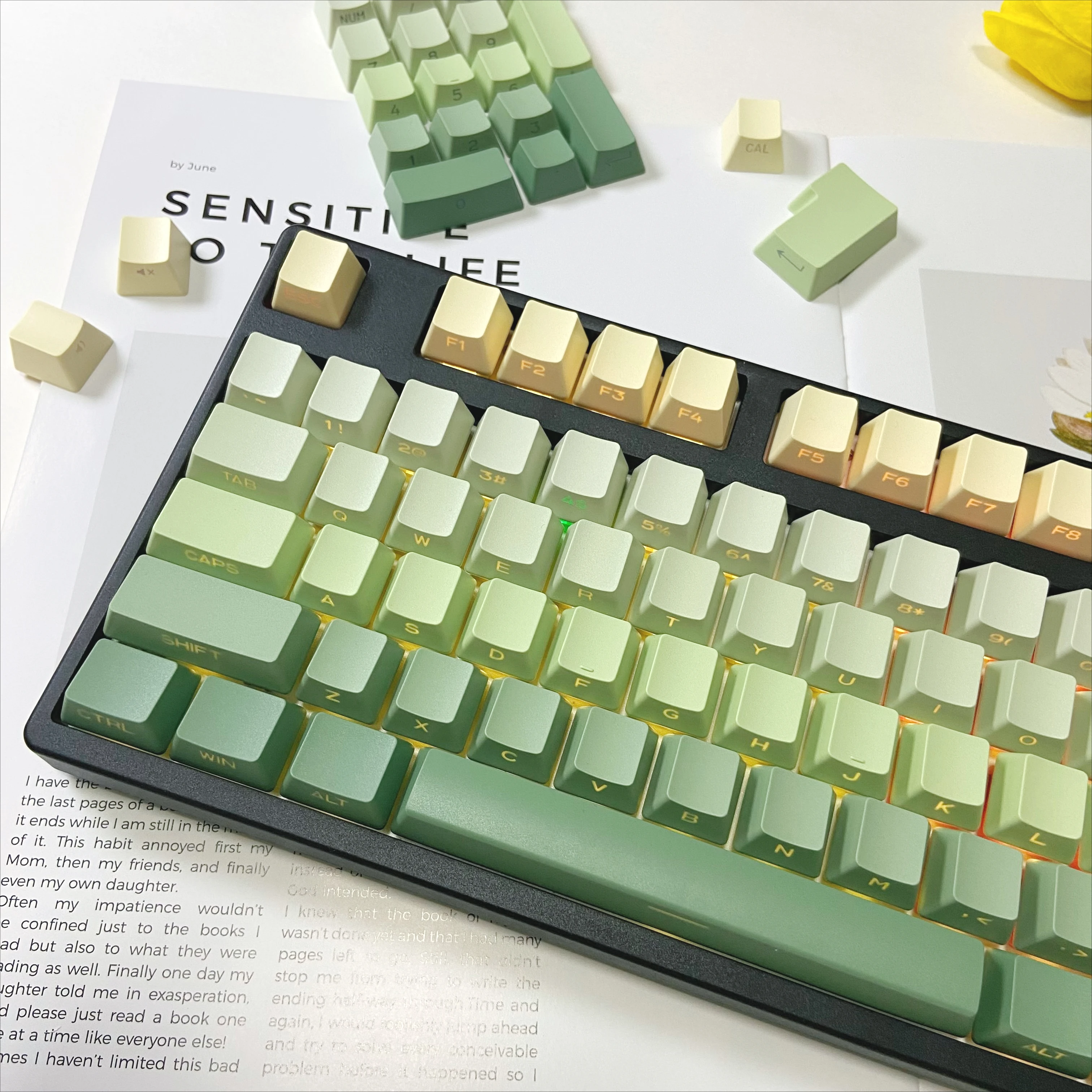 

Grape Green Gradient Keycaps Set Side Front Keycaps OEM Profile Key Caps for Mechanical Keyboard Gaming Backlit Keyboard