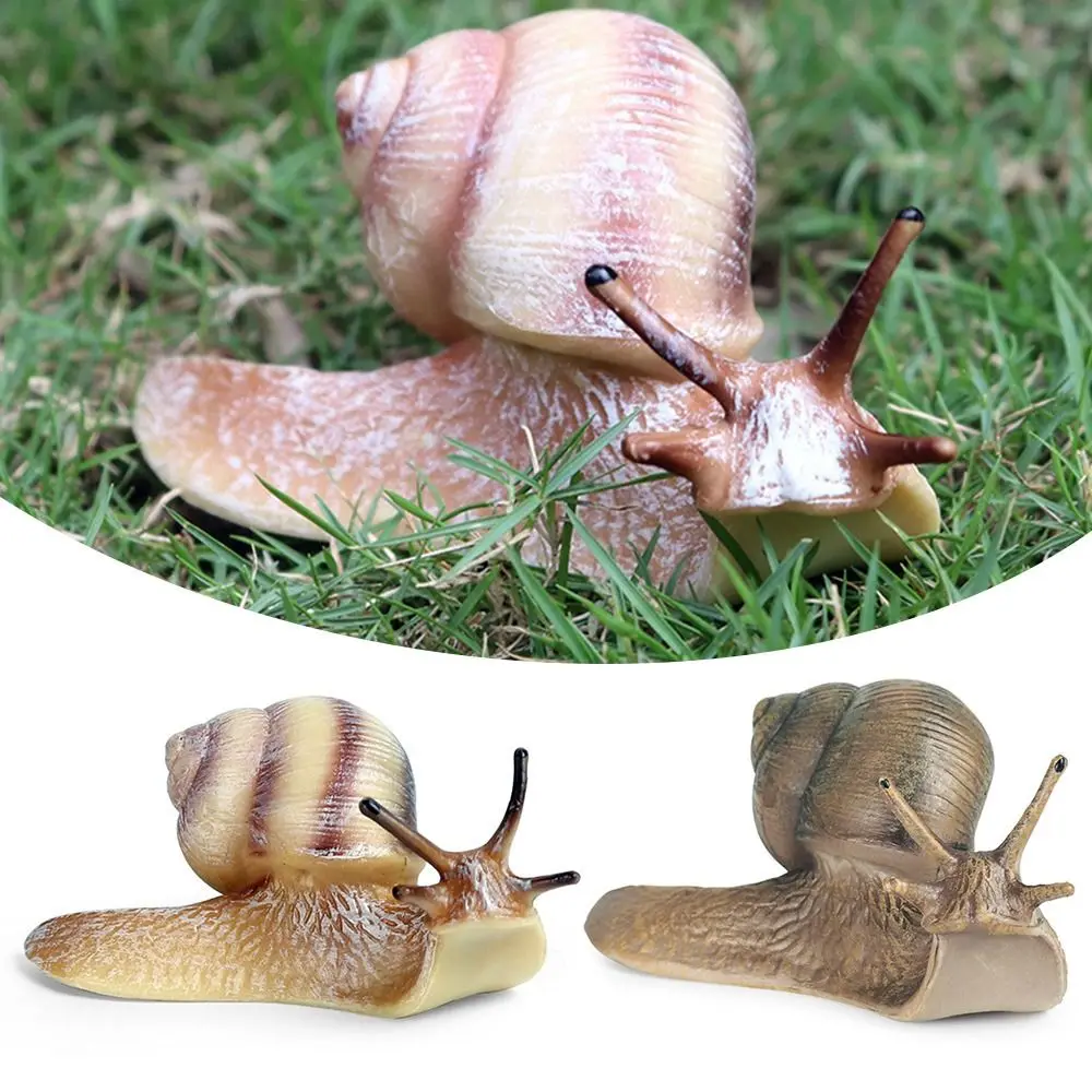Teaching Tool Garden Decor Desktop Ornament Decor Snail Figurine  Mini Animal Figures for Fairy Garden Snail Statue