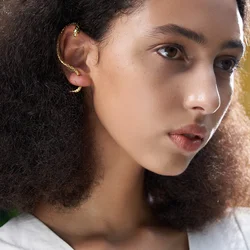 ENFASHION Goth Snake Hoop Earrings For Women Gold Color Big Animals Earings Hoops 2021 Fashion Jewelry Gift Pendientes E211230