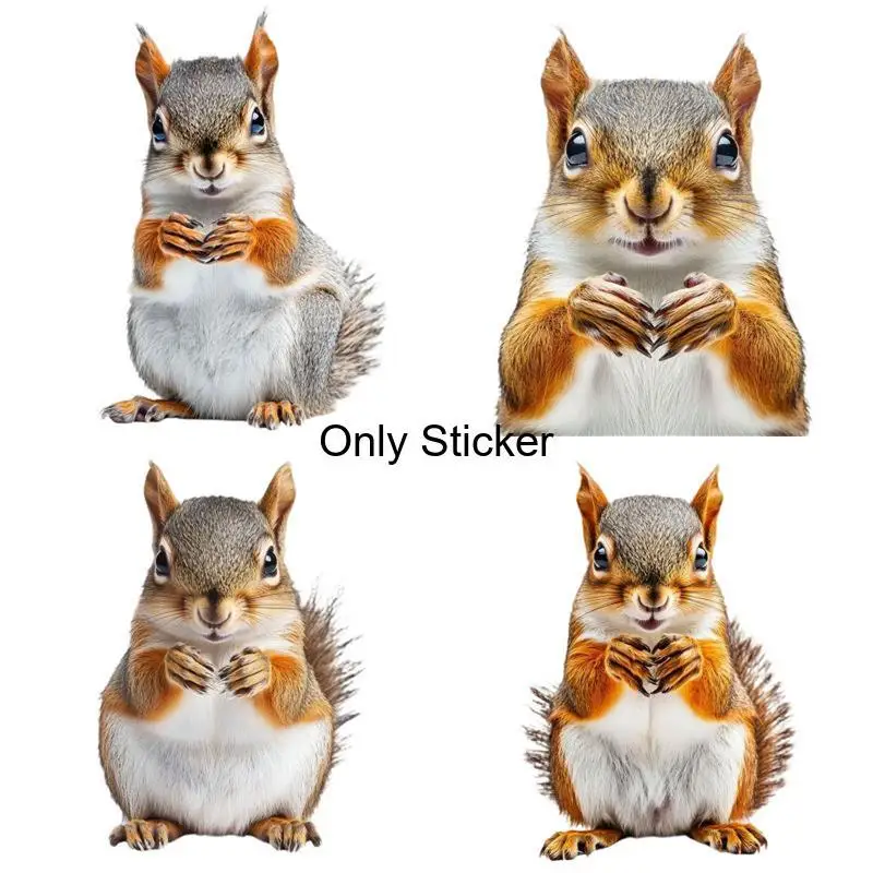 2D Flat 4Pcs Cute Squirrel Vinyl Stickers, Double Sided Printing Scratch Resistant Decals for Car Bumper Motorcycle Decor