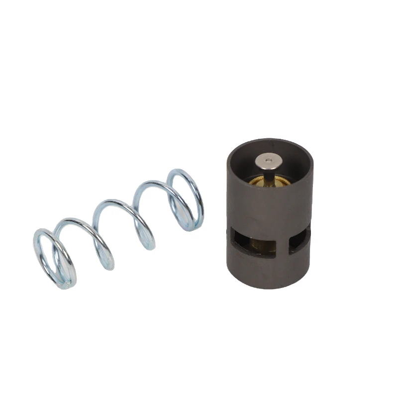 

Hot Pressure Valve Kit for Screw Air Compressor Spare Parts 1619756000