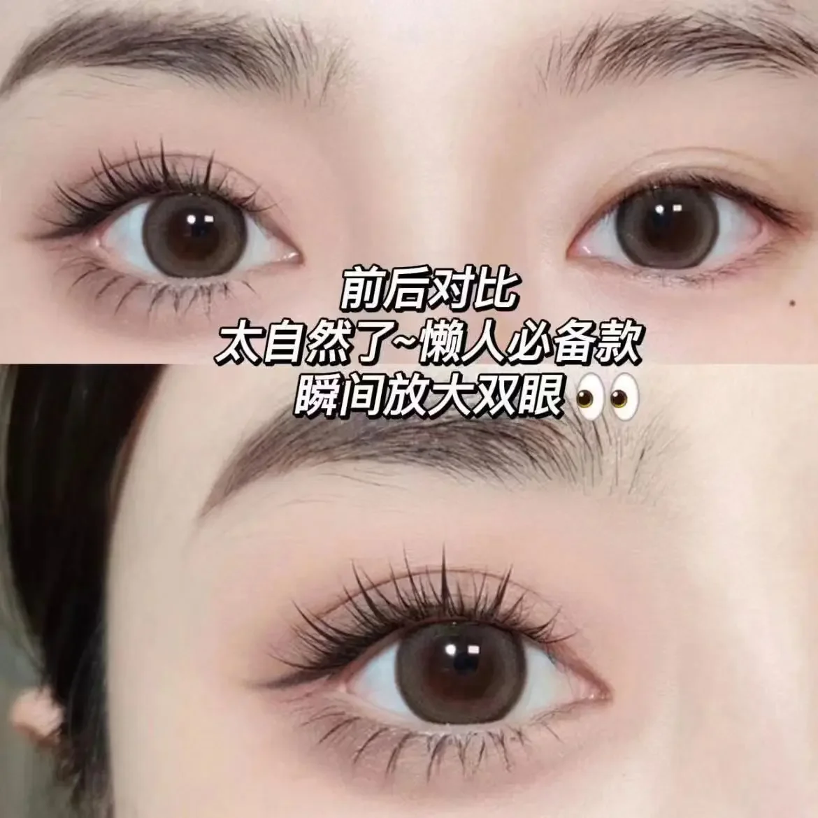 10 Rows Large Capacity Glue Free False Eyelashes Single Cluster 10-12mm C Type Natural Sunflower Trilogy Lashes image 6