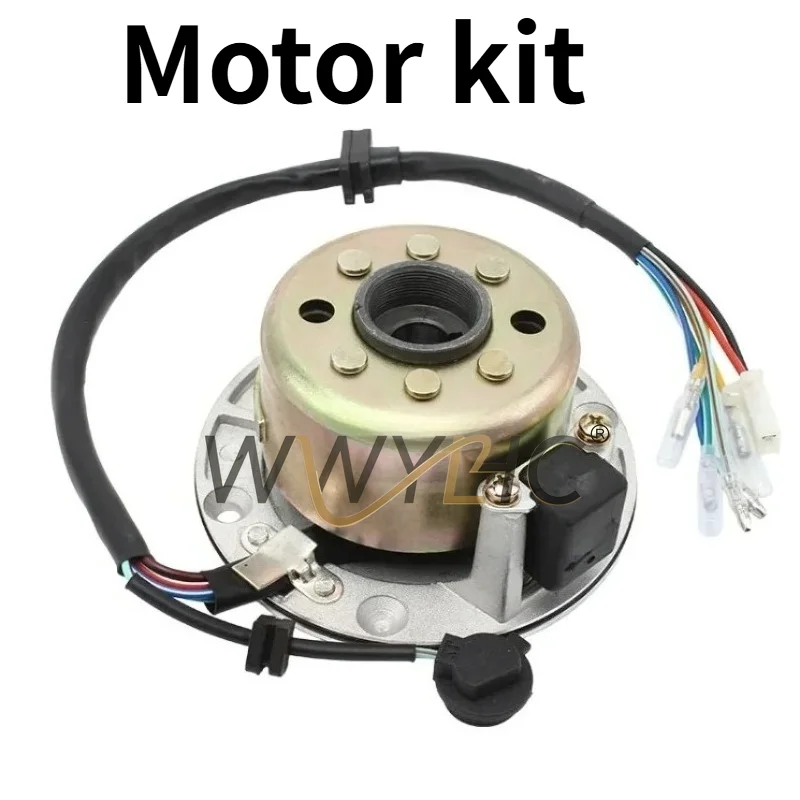 Suitable for  150 155Z 160 Engine Magneto Electric Ball Coil Magnet Rotor Stator with Illumination