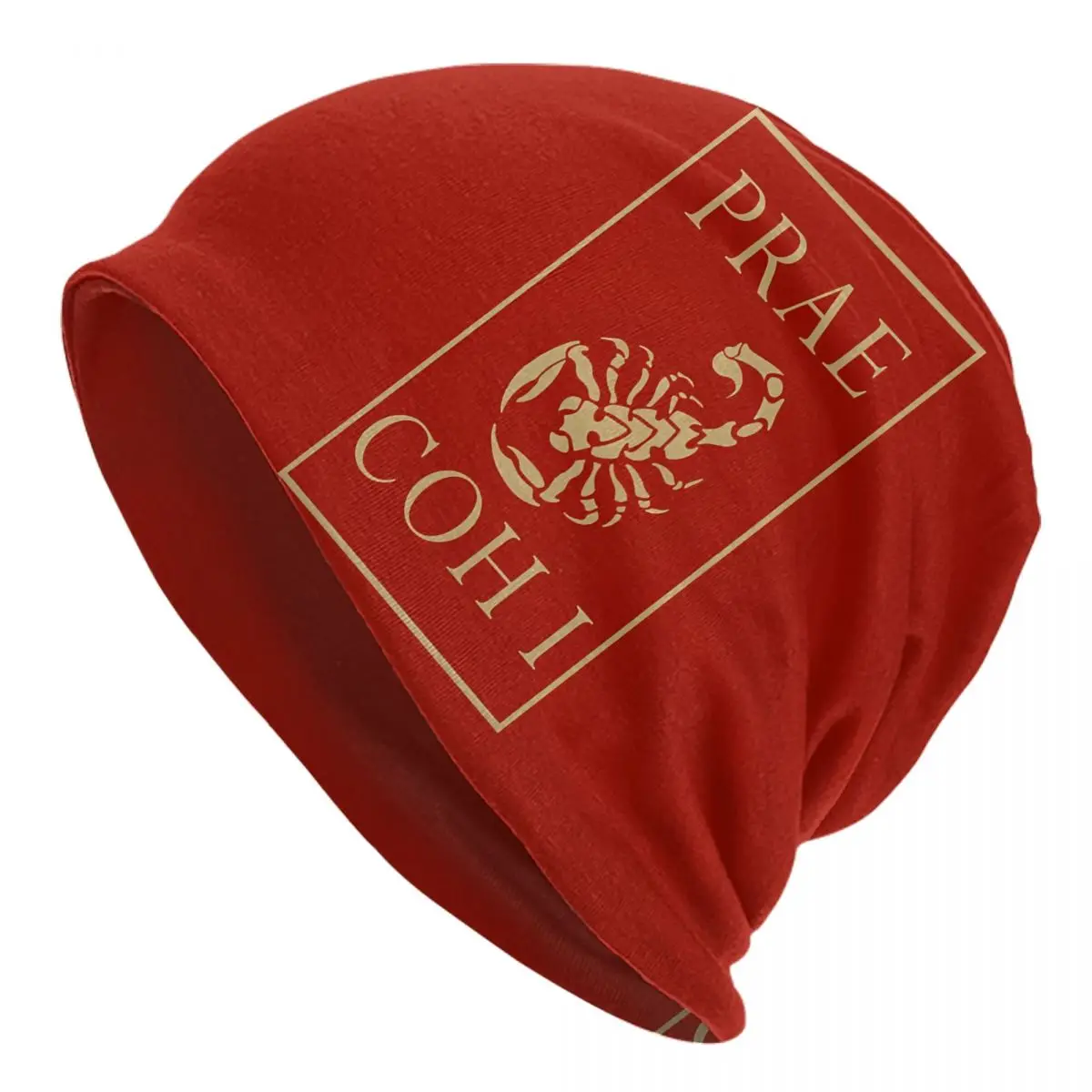 Praetorian Guard Standard - Elite Unit Of The Imperial Roman Army Unisex Bonnet Thin Hip Hop Hats Double Layer Hat Caps