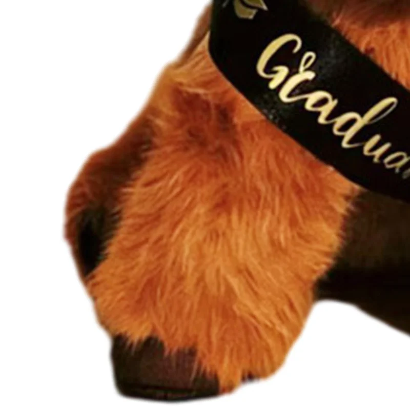 

2026 Graduation Highland Cow Doll Soft Stuffed Animal Graduation Keepsake Toy for Preschool High School College Grads Best Gift