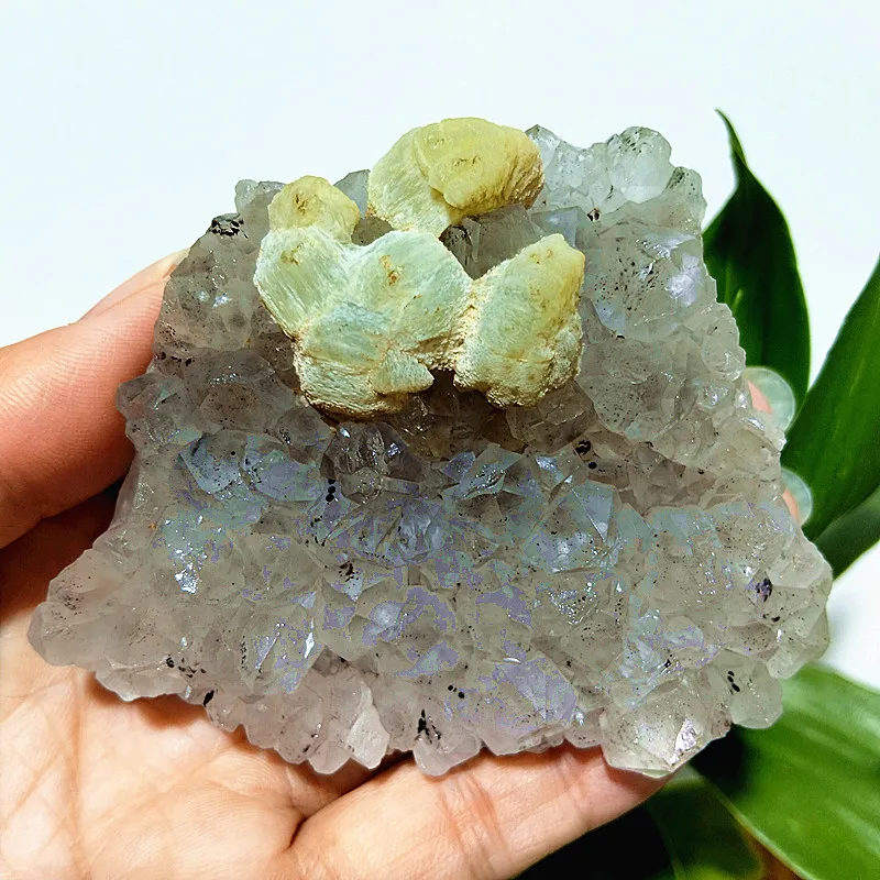 Natural Stones Garden Crystals Epidote Grape And Agate Coexistence Mineral Witchcraft Healing Chakra Feng Shui Room Decoration