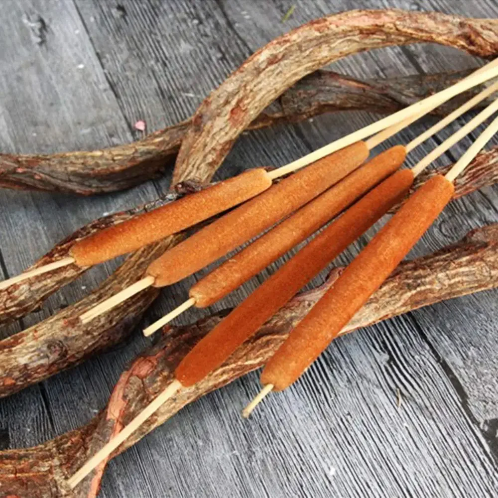 

Jumbo Dried Natural Cattails - Ideal for Rustic Floral Arrangements with Pampas Grass, Perfect Vase Decor for Home