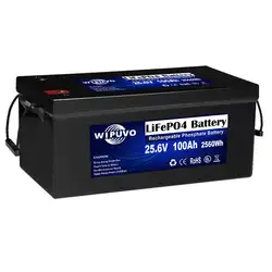 Portable LiFePO4 24V 100Ah 2560Wh With BMS 25.6V LiFePO4 Battery Pack Lithium Battery