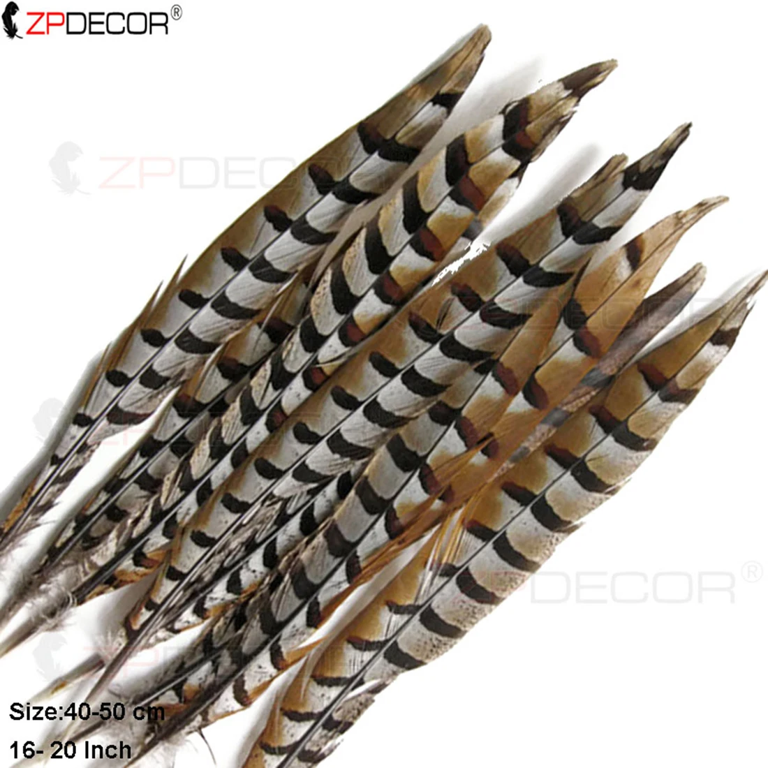 Reeves Pheasant Feathers 40-50cm 16-20 Inch for Crafts DIY Art Home Decor Natural Feathers for Wreaths Flowers And More