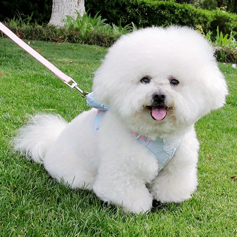 

Pet Leash Chest Harness Puppy Backpack Set Bubble Yarn Dog Chest Harness Cute Outdoor Dog Walking Set