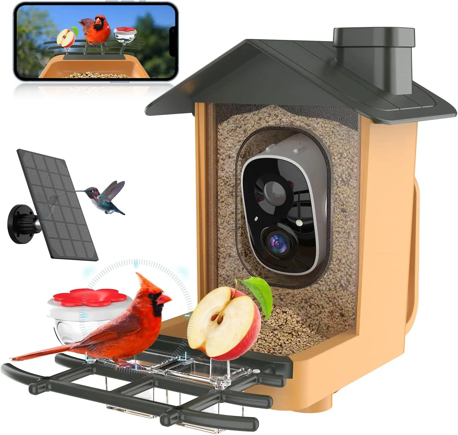 Smart Bird Feeder with 2K Camera, AI Species ID, Solar Power & Waterproof Design for Bird Watching