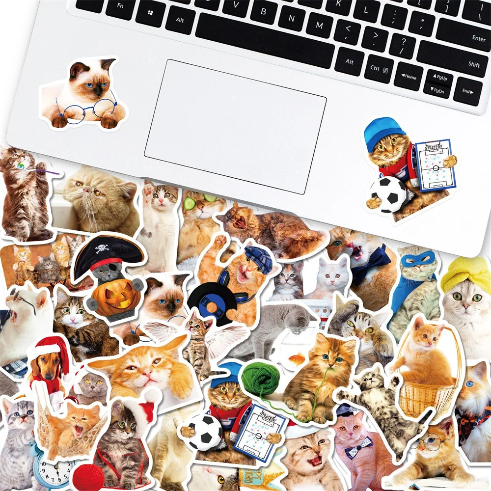 10/30/50pcs Cute Pet Kitten Cat Graffiti Sticker For Luggage Laptop Ipad Skateboard Fridge Car Journal Helmet Sticker Wholesale