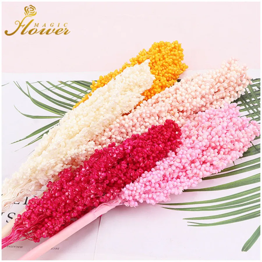 2Pcs/Bag Natural Diy Freezed Flower Bouquet Sorghum, Home Living Room Decoration Preserved Sorghum Spike Bouquet Shooting Props