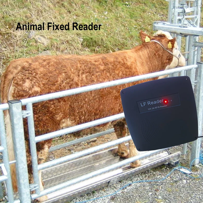 RS485 RS232 HDX FDX-B ISO11784/5 134,2 кГц фермерский шлюз RFID считыватель животных EID для скота скота для молочных коровов Кормовой канал для управления Breeder