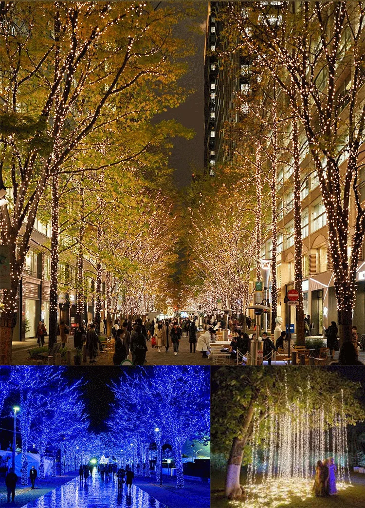 5V WS2811 3PIN Black Wire LED String Lights Dream Color RGBIC Addressable Individually Fairy Light Seed Pixels Light WS2812