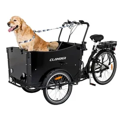 Cargo Electric Trike 3 Wheel Cargo Electric Tricycle Family Cargo Trike