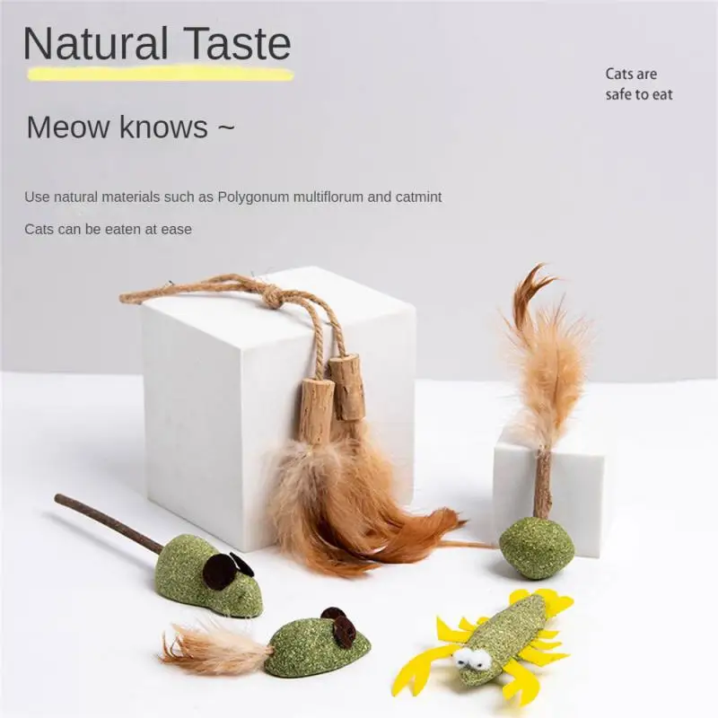 Cat Mint Edible Catnip Ball Wooden Polygonum Catnip Cat Pet Catnip Toys Healthy Mixed Multicolor Tooth Grinding Rod Safety Toys