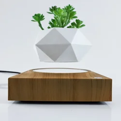 Pote De Flor De Suspensão Magnética, Levitating Air Bonsai Pot Plant, Suculento Pot, Decoração Do Pátio, Desktop Flor/Planta Verde