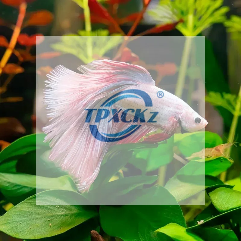 3/5/10 PCS Plastic Betta Rest Leaf Simulated Lotus Leaf For Hiding Spawning Aquarium Plant