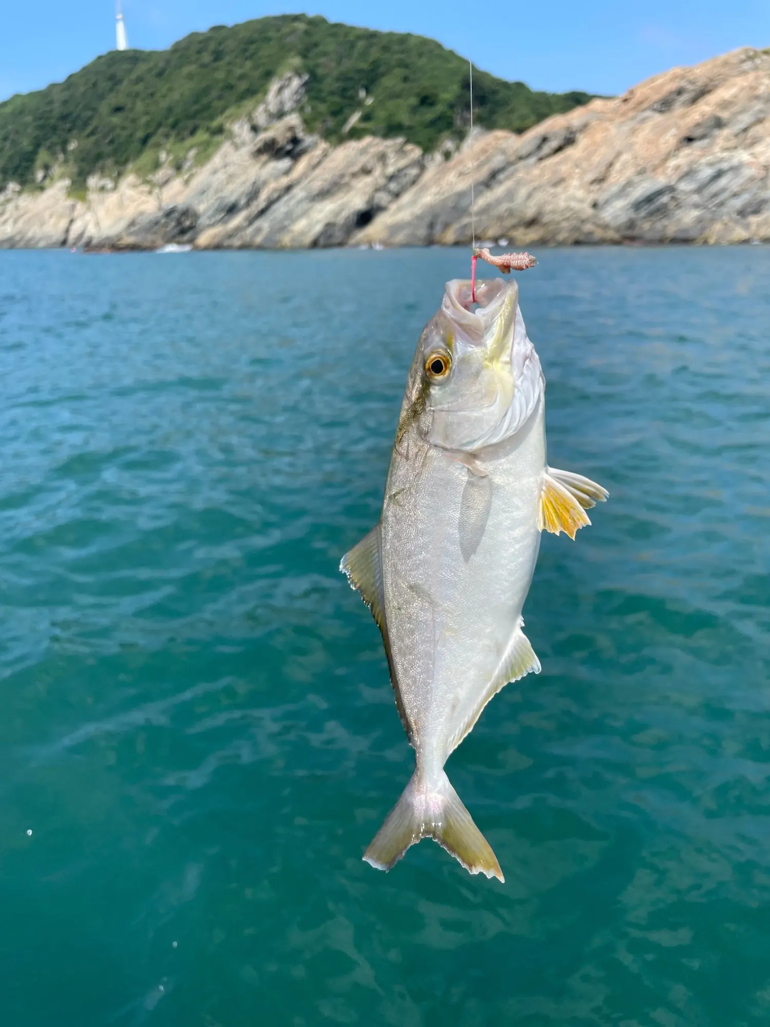 구매후기