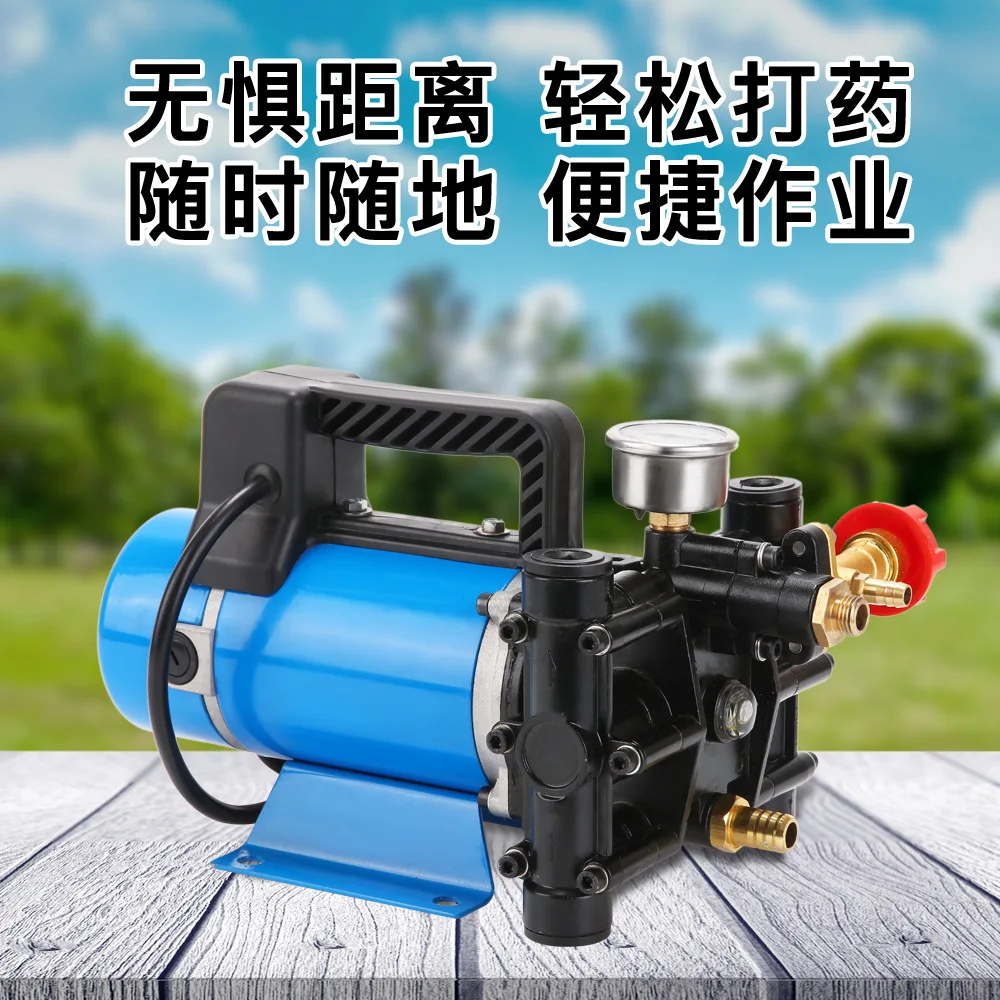 Portable high-pressure plunger pump 12V24V48V60V220V electric spray double cylinder high-pressure dosing pump