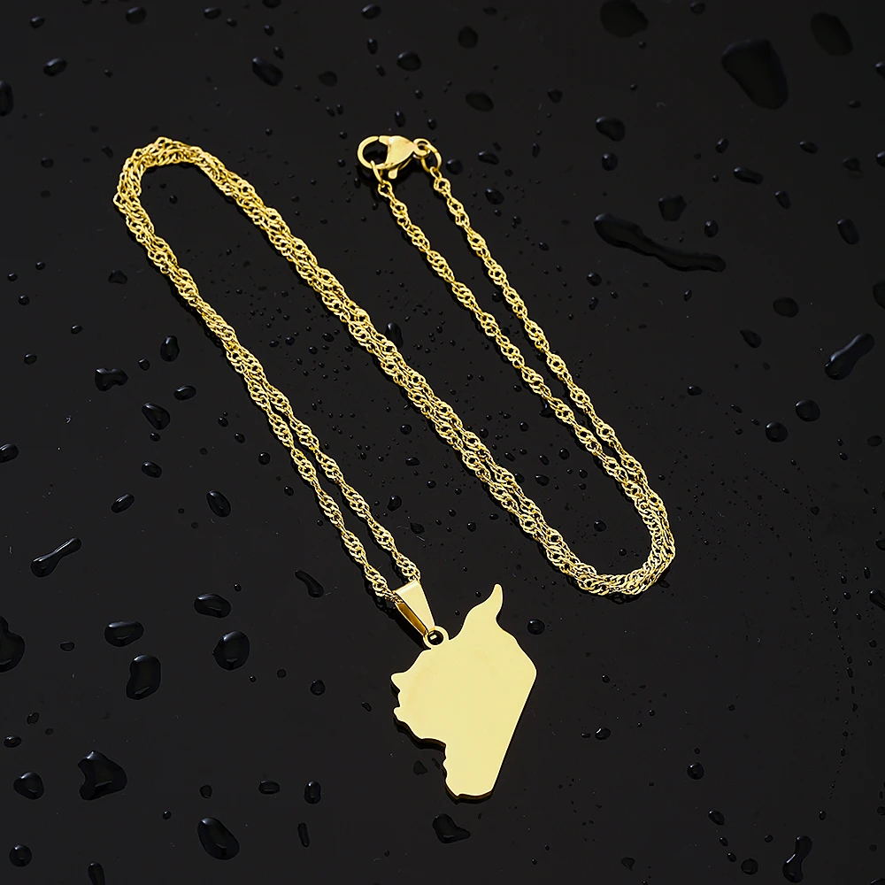 Mode Syrische Arabische Republik Karte Stadt Anhänger Halskette Edelstahl Männer Frauen Ethnische Karten Schmuck Geschenk – Detail 12