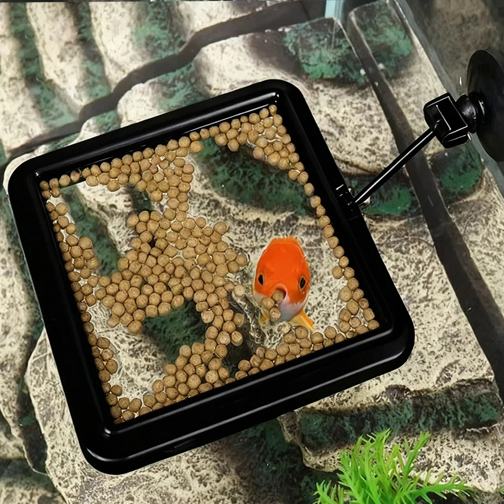 Кольцо для кормления аквариумн – обзор и цена Aquarium Fish Medicine