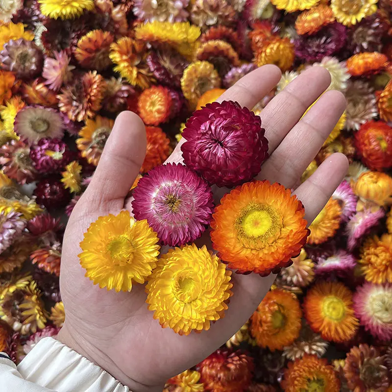 20Pcs Daisy Dried Natural Sunflower Dry Straw Chrysanthemum Heads Home Table Decor DIY Crafts Candle Wedding Party Decoration