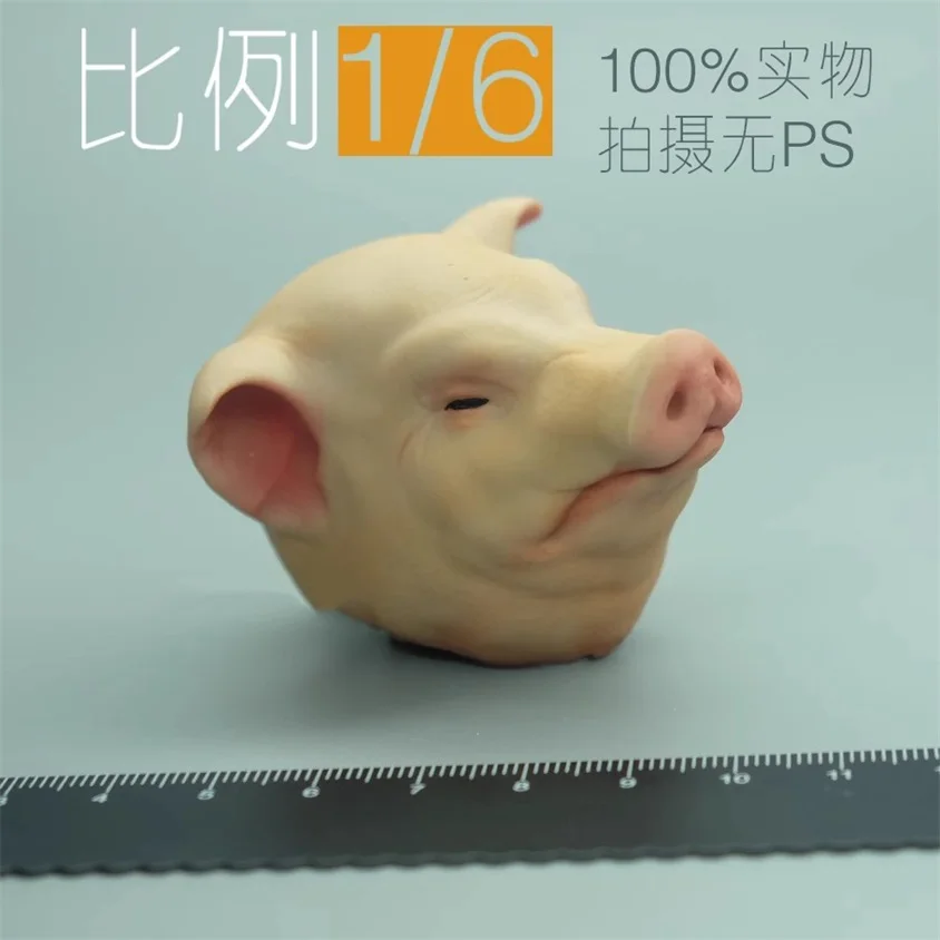 CRWODHTOYS 1/6 Scale Soldier Pig Head Carving Sculpture High Quality Model For 12'' Action Figure Body In Stock