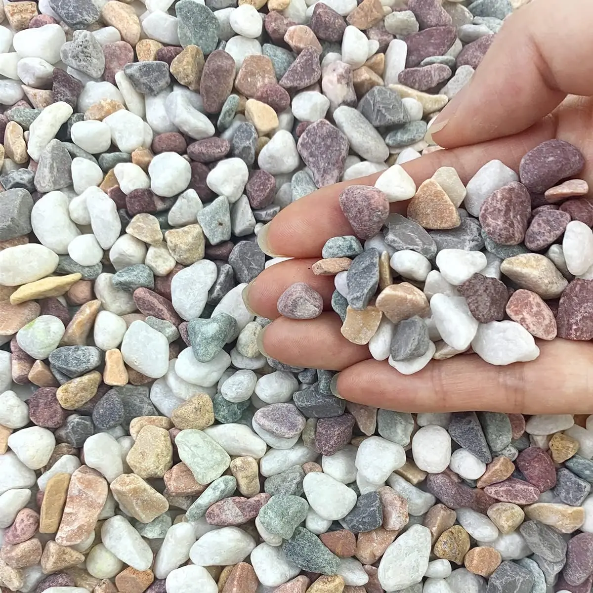 

Natural Mixed Color Gravel Pebbles, 3/8 Inch Decorative Succulent Rocks for Plants, Vase, Landscaping & Garden River Rock (5 lbs)