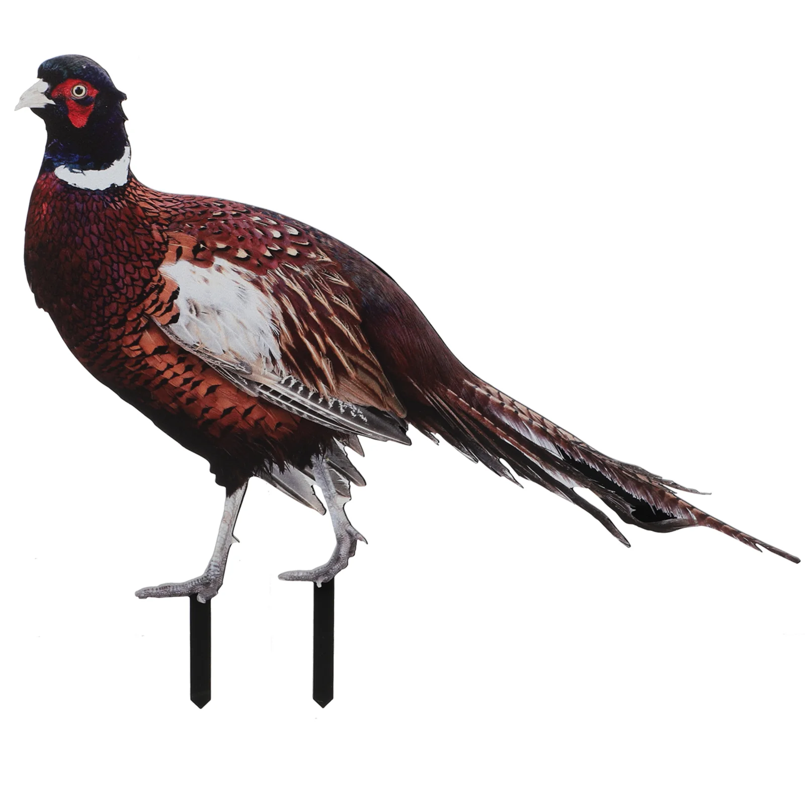 

Acrylic Pheasant Garden Decoration Animals Stake Outdoor 2960X030X2500CM Chicken Yards Decorative Lawn Sign