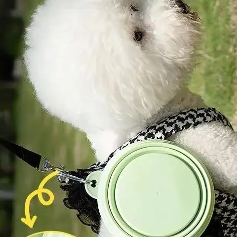 Tragbare faltbare Schüssel Hund Trinknapf Macaron Farbe Haustier Ausflug Katzenfutter Schüssel Reis Schüssel Reis Schüssel mit Karabiner liefert