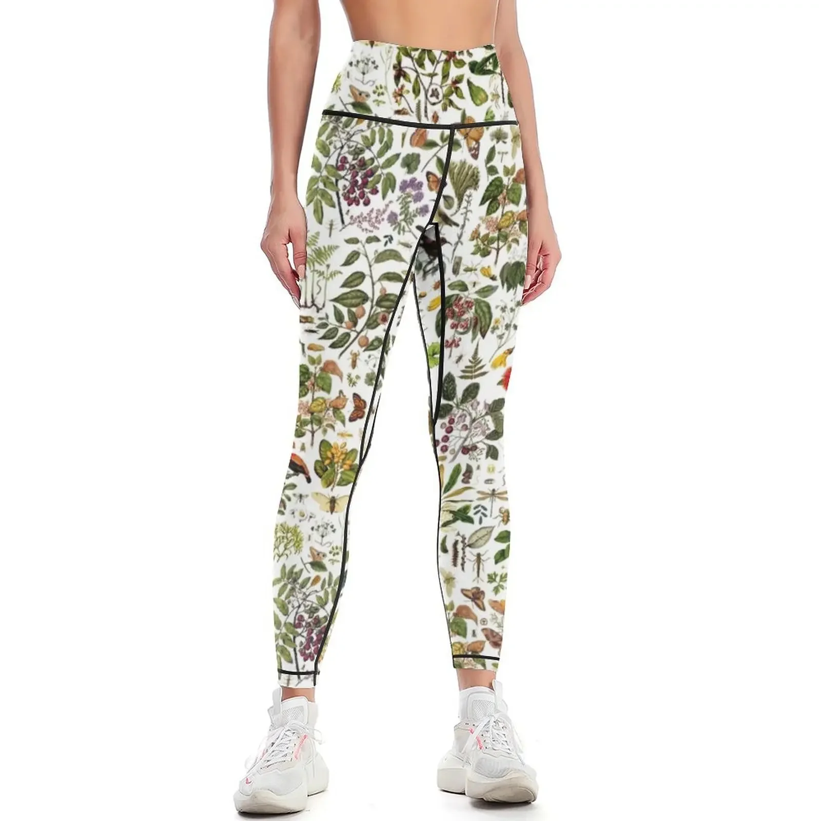 

New Zealand Biology Leggings legings for fitness legging push up joggers for workout clothes for Womens Leggings
