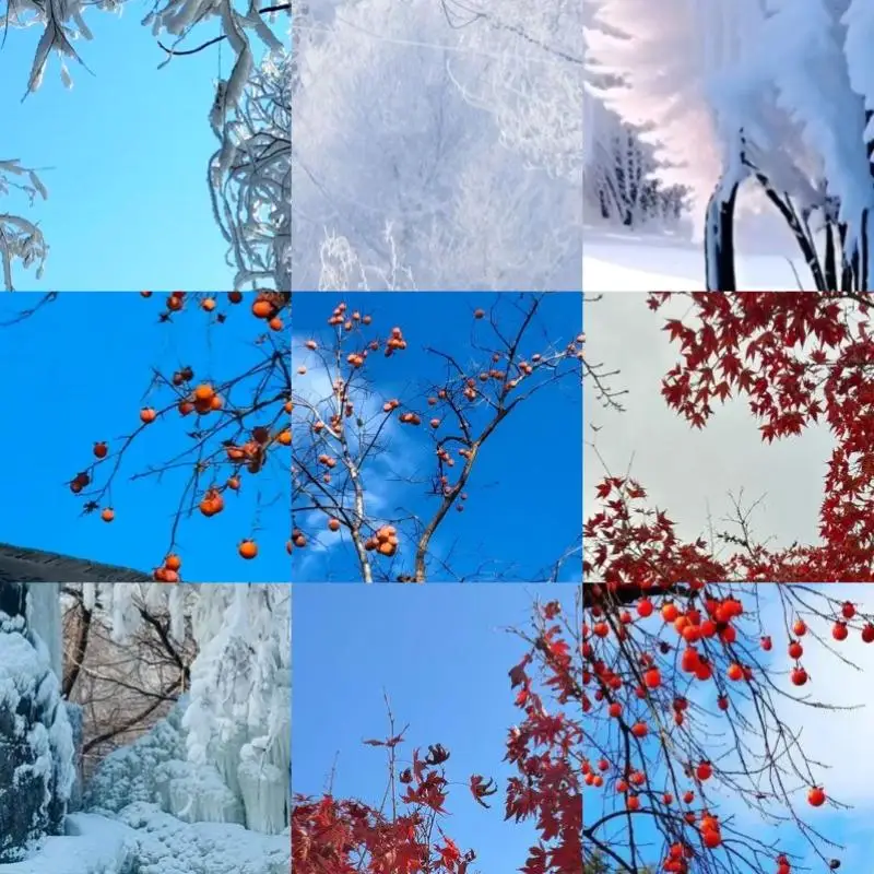 

0.66 Inch OLED Display Module 64x48 Pixels Display Screen Circuit Board 3.3-5V 4 Pin I2C IIC Electronic Components