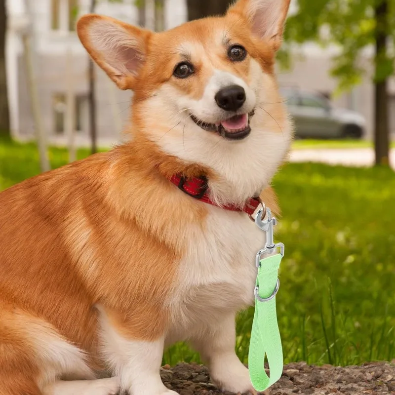 Dog Leash Short Dogs Leashes 25cm Extend Rope Leash for Dog Walking Nylon Extension Ropes Leashes Dogs Chain Pet Accessories