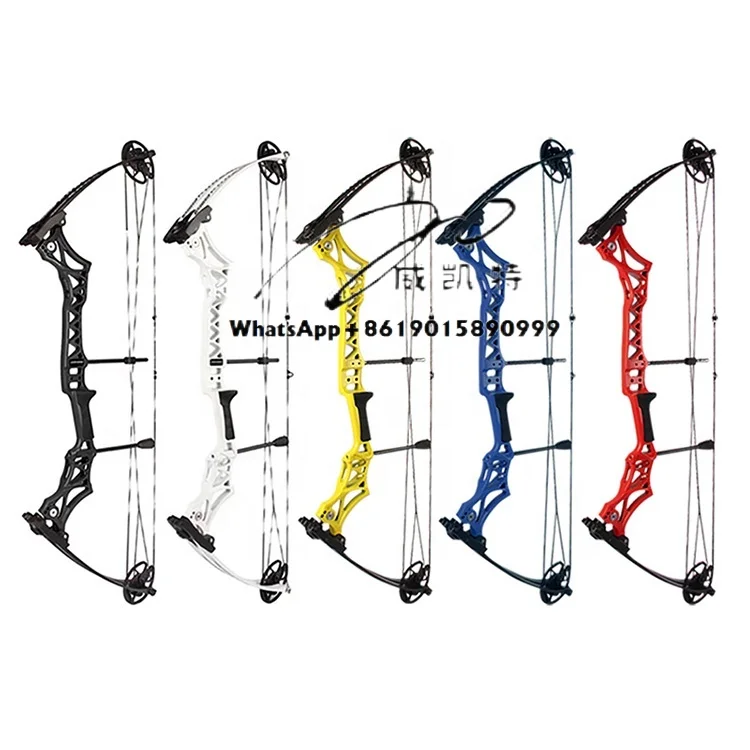 

Compound Bow 55lb Alloy Adjustable Adult Outdoor Archery Recreation Arrow Target Shooting Training Equipment