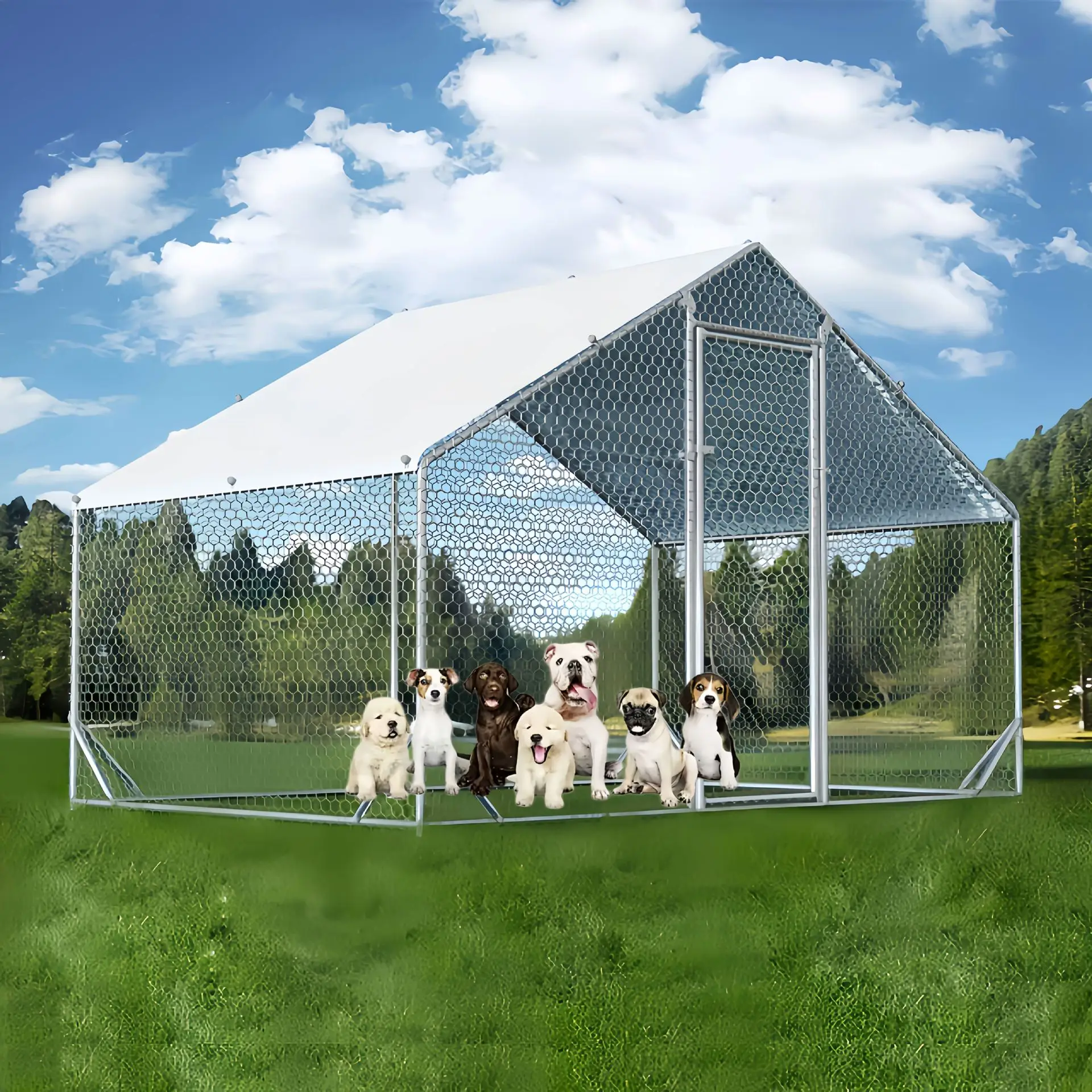 

Large Metal Dog Cage Chicken Coop with Walk In Access Spire